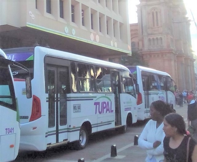 mirameve noticia palmira nueva flota buses